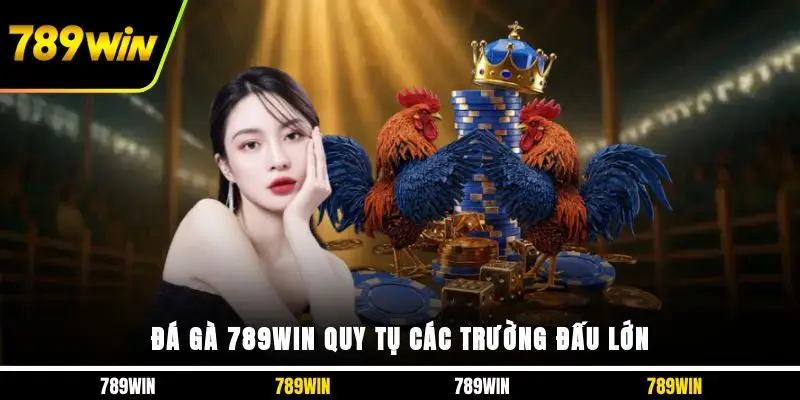 Đá gà 789WIN quy tụ các trường đấu lớn