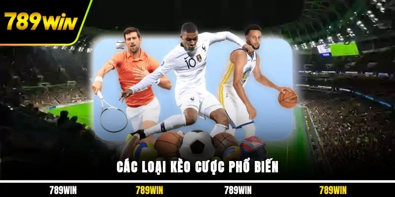 Các loại kèo cược phổ biến 