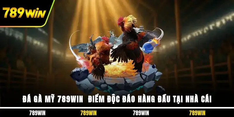 Đá Gà Mỹ 789WIN - Điểm Độc Đáo Hàng Đầu Tại Nhà Cái