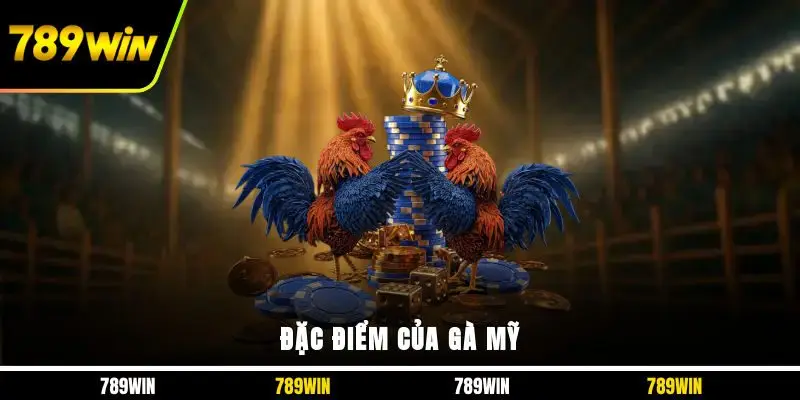 Đặc điểm của gà Mỹ