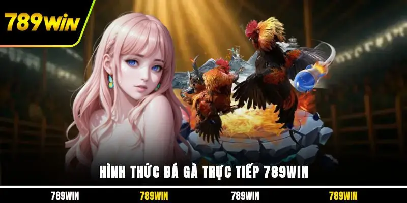 Hình thức đá gà trực tiếp 789WIN